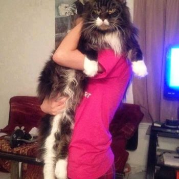 125a5e20805756c4dbd17adf80002bd9