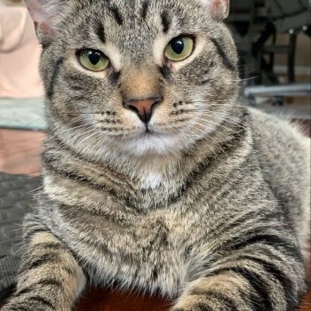 bf0792c83b2e938c22741859be14fdc8